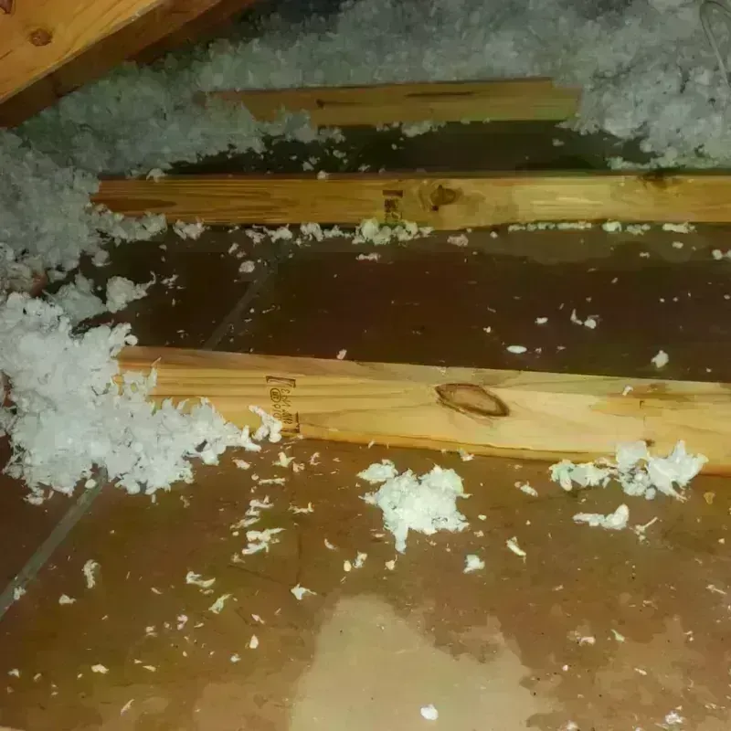 Attic Water Damage in Omega, GA