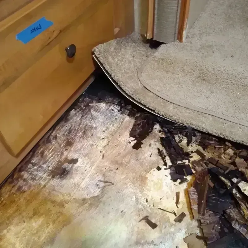 Wood Floor Water Damage in Omega, GA